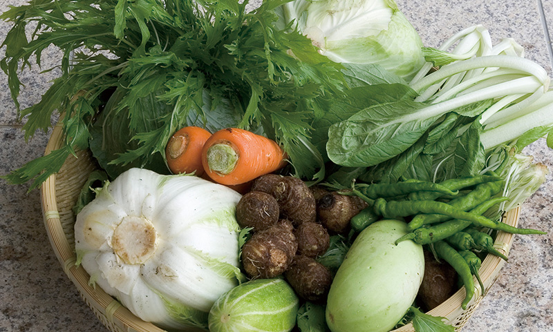 Vegetable garden